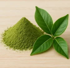 Green tea leaf extract