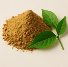 Gymnema leaf extract